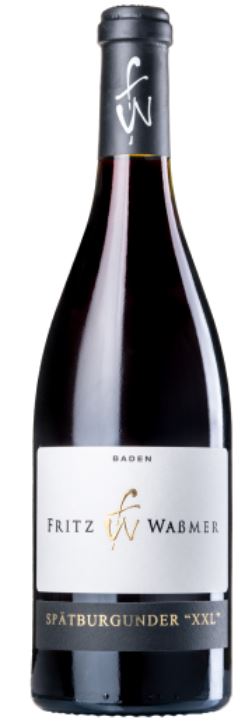Spätburgunder XXL 2021